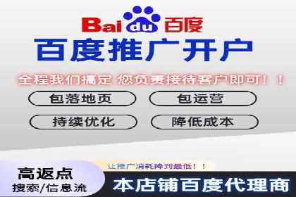 SEO与百度推广结合的营销策略——经典案例解析